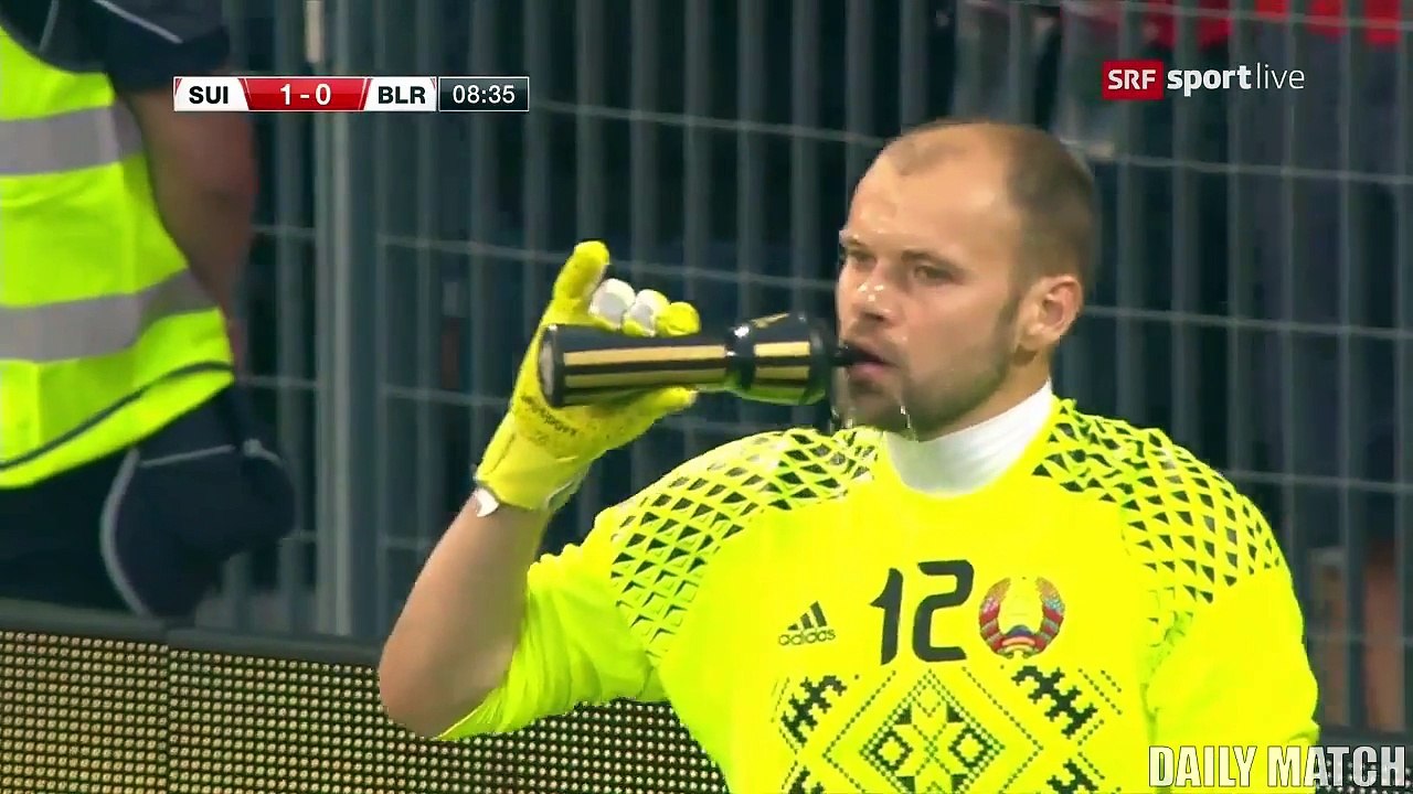 Switzerland vs Belarus 1-0 - All Goals & Highlights - International Friendly 01-06-2017 HD