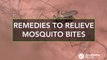 Best home remedies to relieve itchy mosquito bites