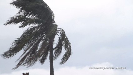 Hurricane Season is Set to Begin: Here's What You Should Know