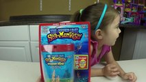 THE AMAZING LIVE SEA MONKEYS! Cute & Easy Pets for Kids - Fun Kids Activity Review