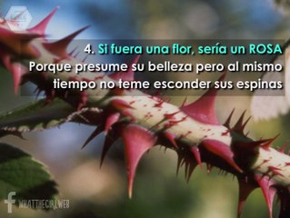 8 Cosas sobre géminis que DEBES SABER