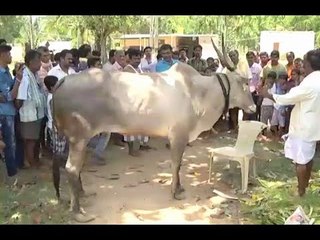 Jathre Stopped In Middle As Dalits Entered Temple Basava Protests Without Having Food and Water