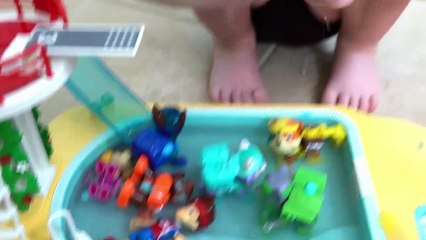 Paw Patrol Pool Time Bubbnevieve Plays with P