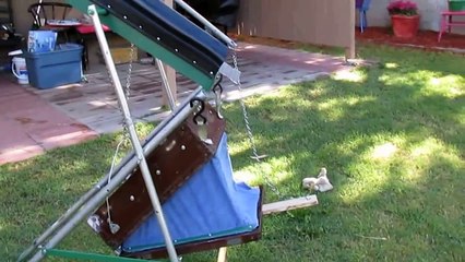 DIY Homemade Bellows Gold Puffer Style Drywasher from Garage Junk- Lever operated