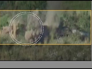 Indian Army demolishes Pakistani posts in Naushera sector of J&K