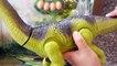 Dinosaurs Videos for Kids Dinosaurs F234234ursery Rhymes _ Dino