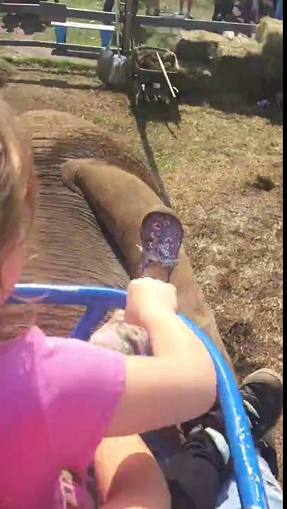 riding an elephant