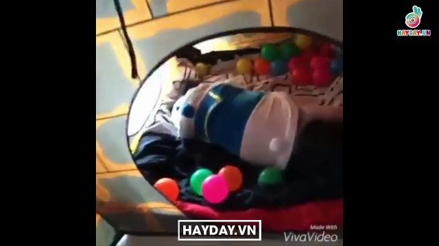 Cuộc sống hạnh phúc của chàng thanh niên và cô nàng heo nái đang gây sốt mạng xã hội