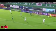 54.Chapecoense 1 x 0 Palmeiras - Gols & Melhores Momentos - Brasileirão 2017