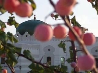 anasheed  the heart of a muslim