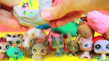 PLAY-DOH SUPRISE EGGS Mystery LPS Littlest Pet Shop Collection Playdough Toys AllToyCollec