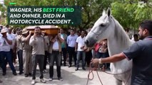 Heart-breaking moment horse cries at owner's funera