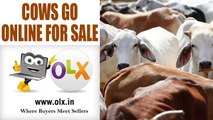 Traders go online for selling cows after cattle sale restriction | Oneindia News