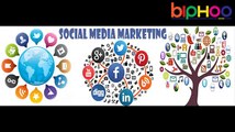 Best SMM Services Dana Point | Firm @ +91 9212306116