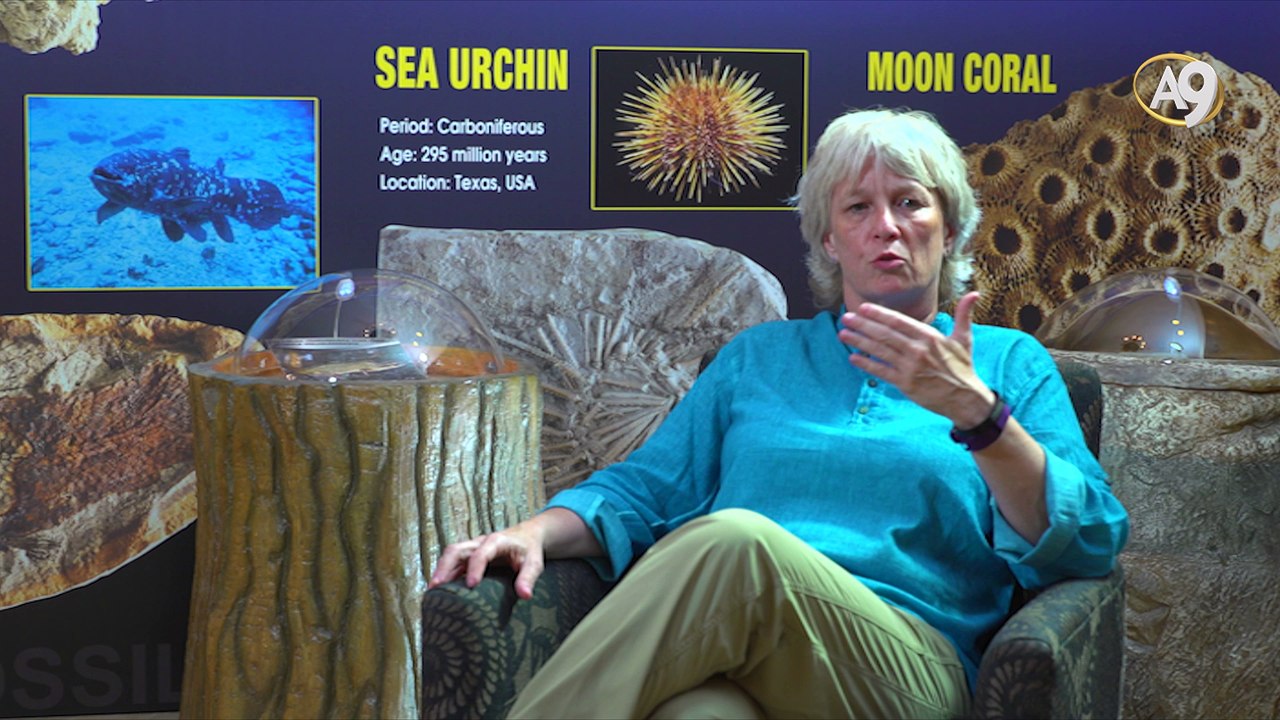 Specifically What Harm Does Evolution Theory and Darwinism Have on Humanity?