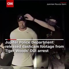 USA : la police rend publique la vidéo de l'arrestation de Tiger Woods