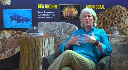 A9 TV Yeni Frekans Bilgisi: Türksat 3A Uydusunda Güncellenmiş Ayarlar 📡