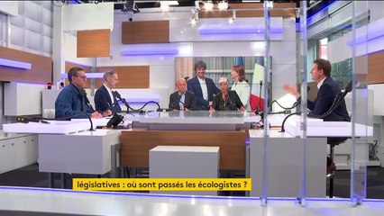 "Il faut des députés écologistes" pour "défendre l'écologie" : Jadot