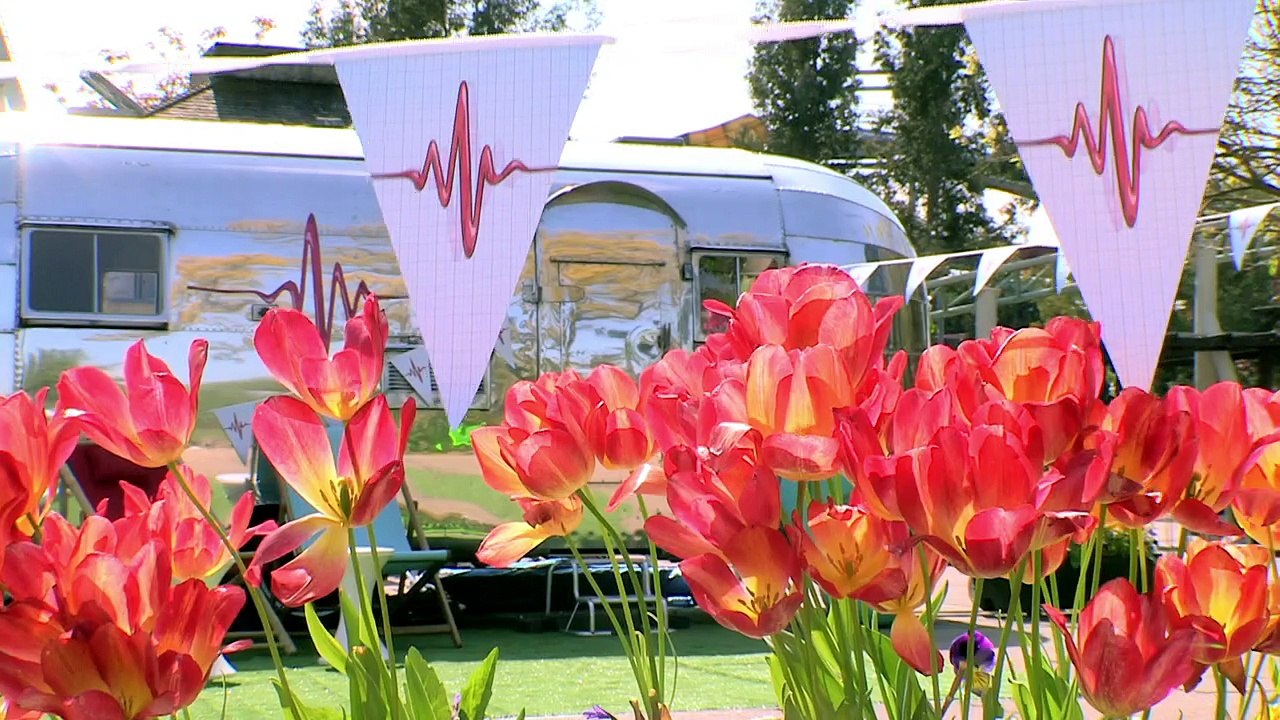 Operation Ouch Full Episodes - Operation Ouch! - S3E07