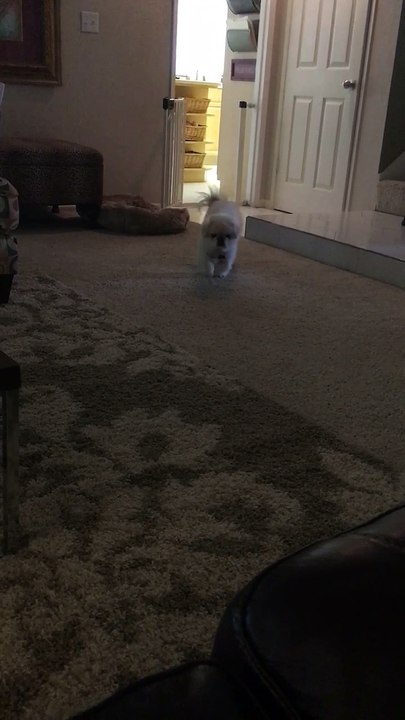 come on over baby - Christina Aguilera