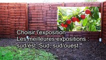 Comment planter un arbre fruitier avec succès ?