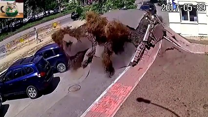 Ukraine Water Main Explosion Looks Like It Belongs In A Disaster Movie