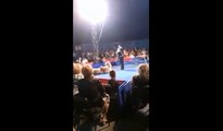 Un ours de cirque saute dans le public.