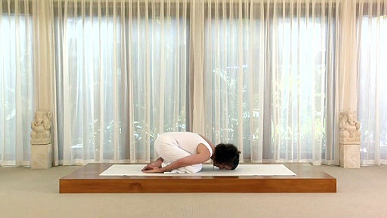 Yoga for the Back