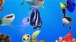 LEARN SEA ANIMALS & WATER ANIMALS NAMES AND SOUND REAL OCEAN SOUND ANIMAL VIDEO FOR KIDS P