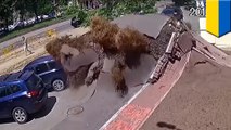 Water pipe explodes action movie style and upends street in Ukraine
