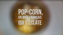 Maïs : une grande culture durable 03 - Pop-corn