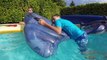 BATAILLE DANS LA PISCINE SUR DES CHEVAUCHABLES - Jeux Gonflables Aquatiques en Piscine - 3_3