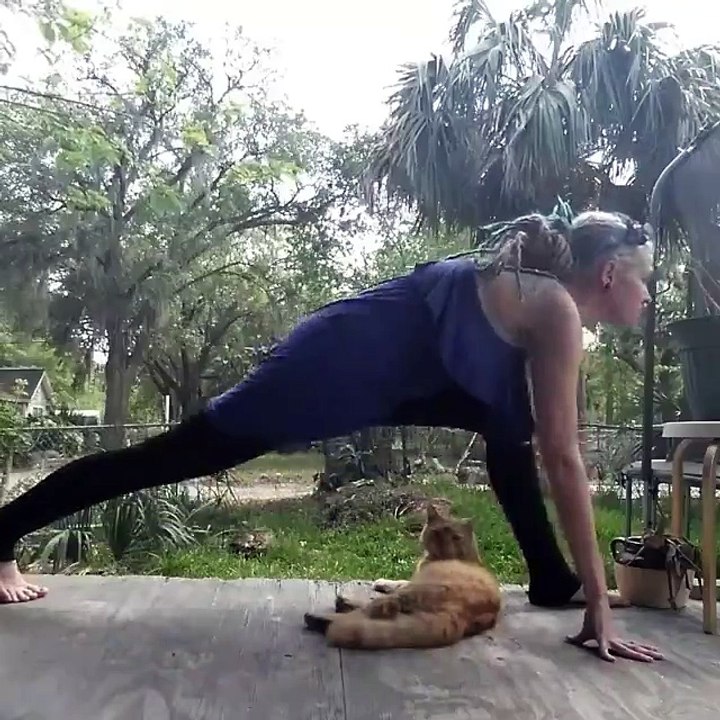 Girl Almost Crushes Cat while Doing Yoga