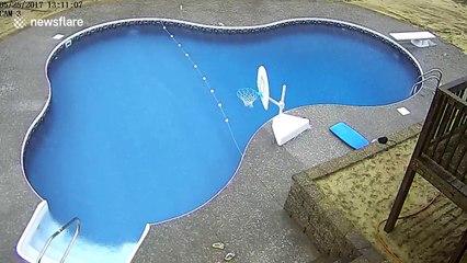 Severe hailstorm wreaks havoc in South Carolina garden