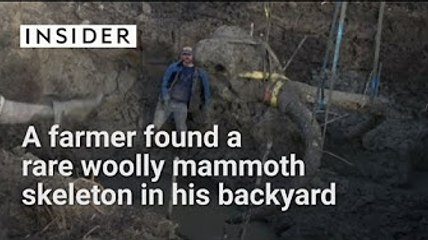 Rare woolly mammoth skeleton found in farmer's backyard