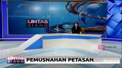 30 Juta Petasan Hasil Razia Dimusnahkan Polisi