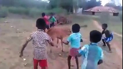 Junior Jallikattu