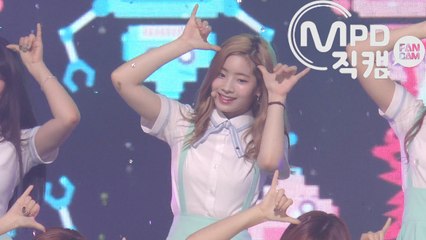 트와이스 다현 직캠 시그널 Signal 엠카운트다운_170601