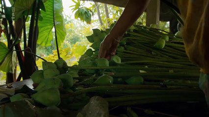 Thaïlande, la beauté sauvage (2-3) - Les forêts centrales_Arte_2017_05_31
