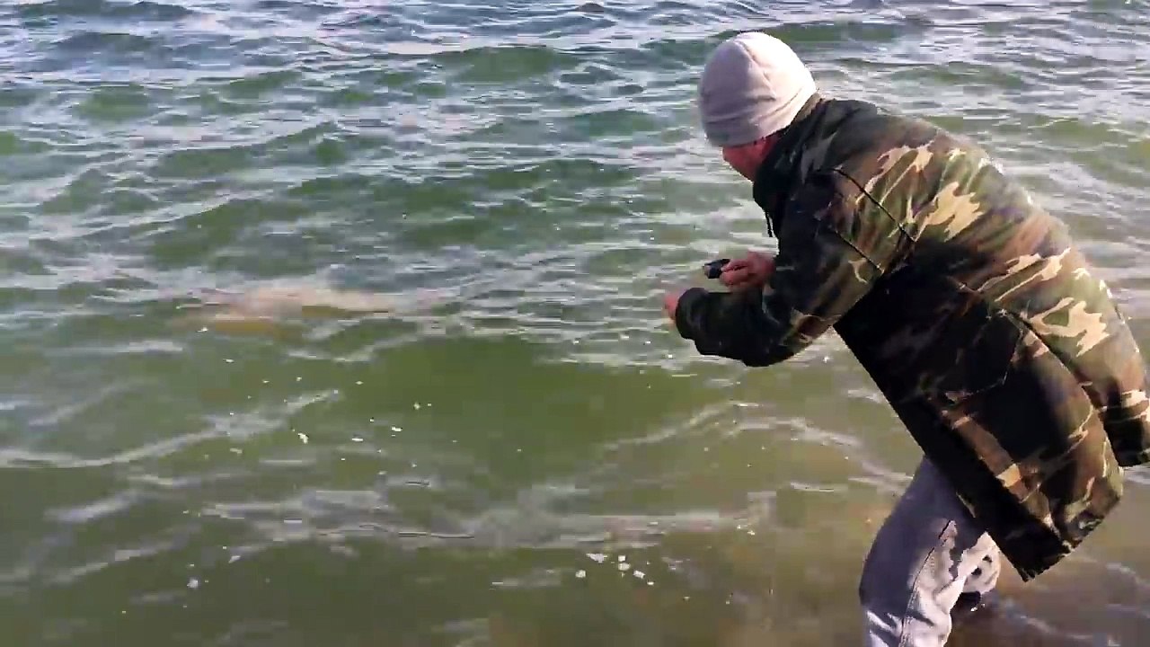 Ceylan Gibi Sazan Avı 8 Kg