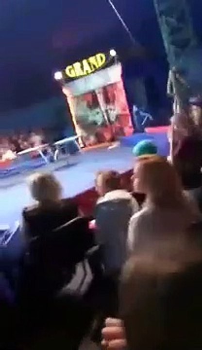 En Ukraine lors d'un spectacle, un ours a subitement sauté dans le public. Un spectateur qui était en train de filmer le