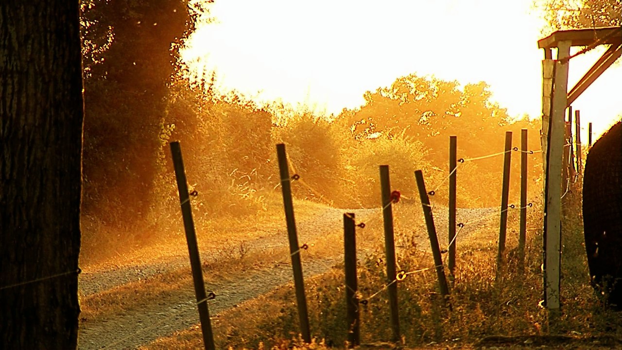 Il était une fois dans le Sud-Ouest