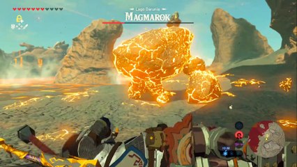 The Legend of Zelda- Breath of the Wild - Campaña Español - Parte 31