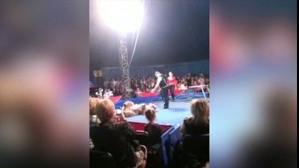 Oso ataca al público y se desata el pánico