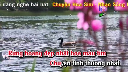 Karaoke - Chuyện Hoa Sim - Nhạc Sống Hay Nhất 2017
