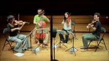 Franz Schubert : Quatuor à cordes n°7 en ré majeur D.94 - III Menuetto Allegretto par le Quatuor Kitgut