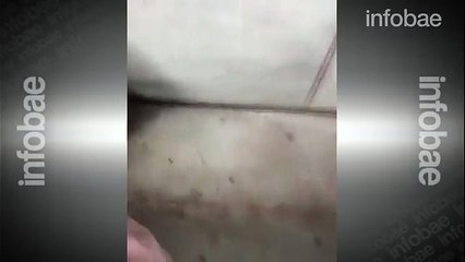 Los New York Mets despidieron a su mascota por hacerle de su madre a un fanático
