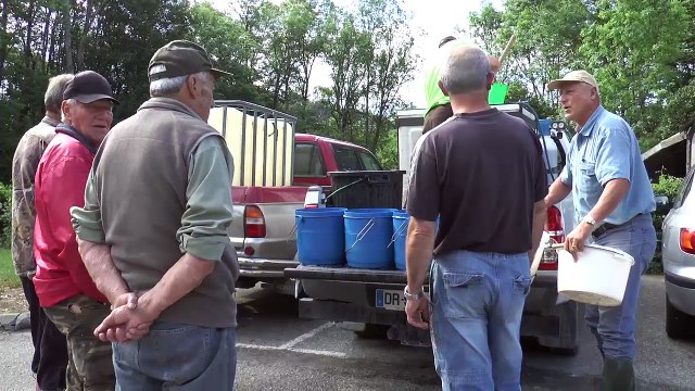 Hautes-Alpes : 80 kg de truites lâchées dans le torrent des Moulettes et l'Avance