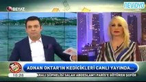 Adnan Hoca'nın kedicikleri