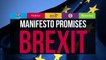 Compare The Manifestos: Brexit